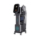 Aparat 10 în 1 Hydra Facial + Skin Analyzer