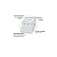 Motor electric dentar C-Puma INT+
